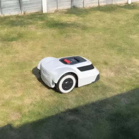 Bild von: ANTHBOT Genie600 im Test – Was taugt der Mähroboter ohne Begrenzungskabel?